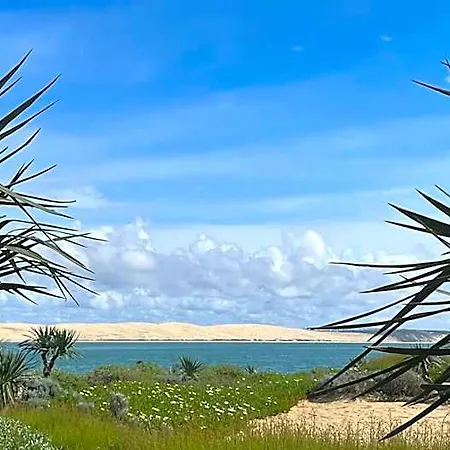 Petit Cocon Au Cap Ferret Les Embruns