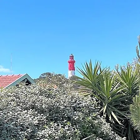 Petit Cocon Au Cap Ferret Les Embruns