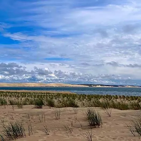Petit Cocon Au Cap Ferret Les Embruns Bélisaire